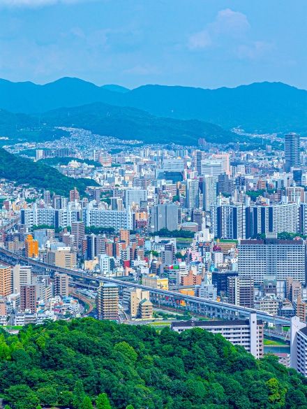 挑戦と未来への歩み